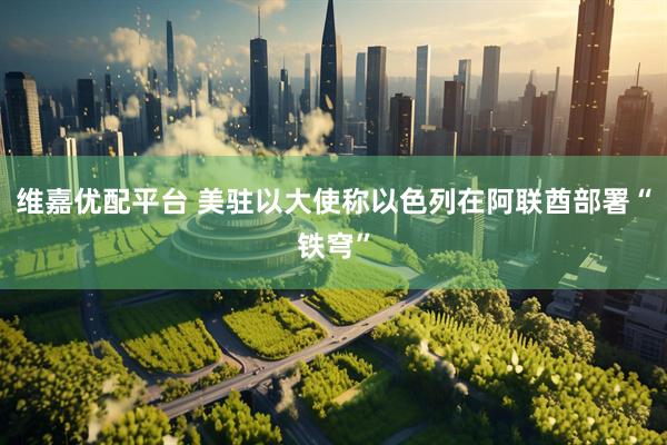 维嘉优配平台 美驻以大使称以色列在阿联酋部署“铁穹”