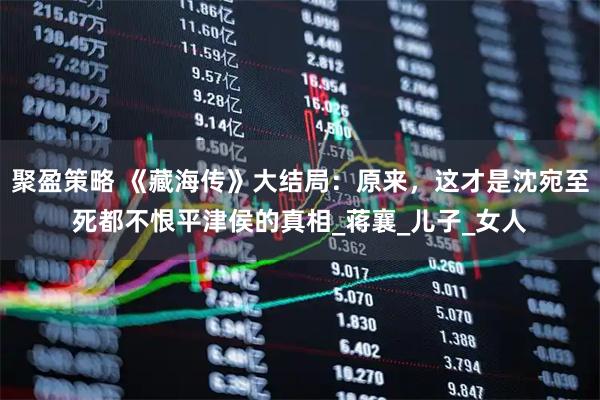 聚盈策略 《藏海传》大结局：原来，这才是沈宛至死都不恨平津侯的真相_蒋襄_儿子_女人