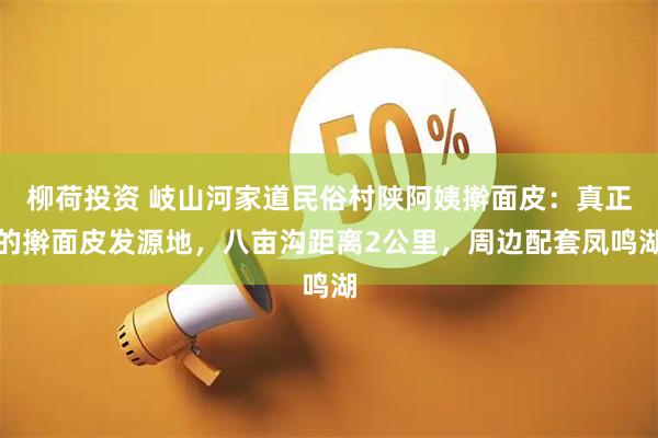 柳荷投资 岐山河家道民俗村陕阿姨擀面皮：真正的擀面皮发源地，八亩沟距离2公里，周边配套凤鸣湖