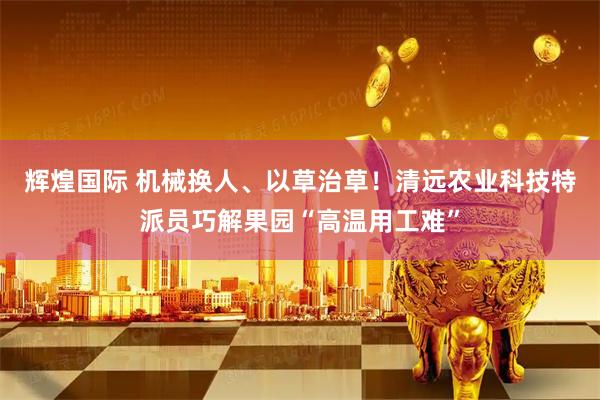 辉煌国际 机械换人、以草治草！清远农业科技特派员巧解果园“高温用工难”
